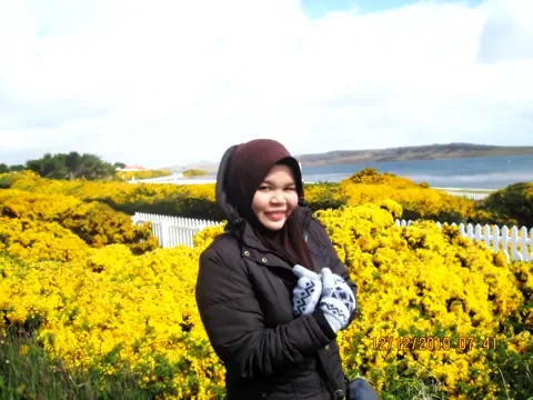 Gypsy Cove, Stanley, East Falkland