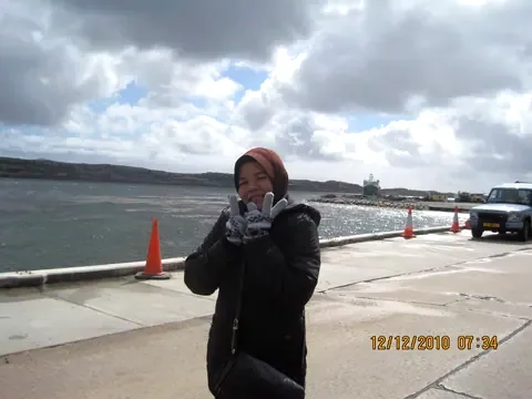 Gypsy Cove, Falkland Islands