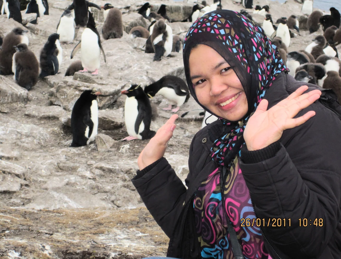 Penguin tour in the Falkland Islands