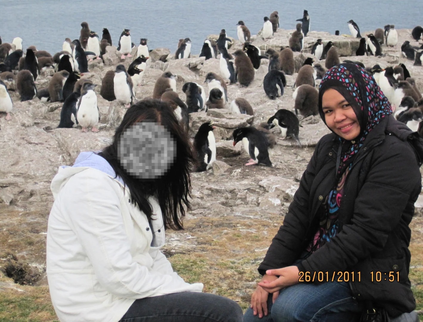 Penguin tour in the Falkland Islands