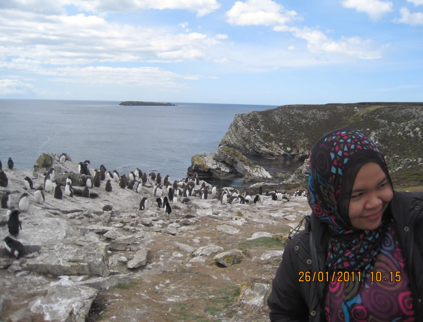 Another moment from the Falkland Islands penguin tour